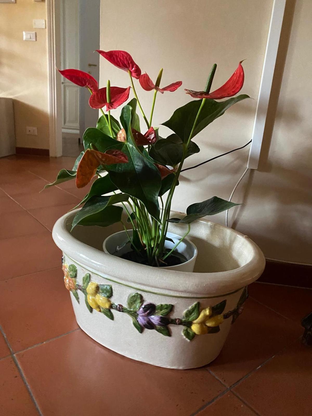 Appartamento Magnolia Mercatale Val Di Pesa Εξωτερικό φωτογραφία